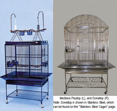 Avian Adventures Mediana: Playtop and Dometop